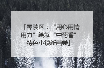 零陵区：“用心用情用力”绘就“中药香”特色小镇新画卷