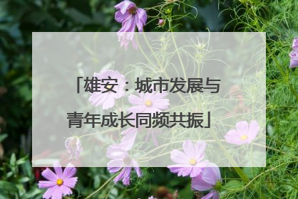 雄安：城市发展与青年成长同频共振