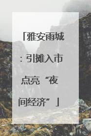 雅安雨城：引摊入市 点亮“夜间经济”