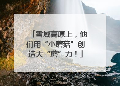 雪域高原上，他们用“小蘑菇”创造大“蘑”力！