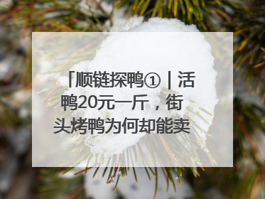 顺链探鸭①｜活鸭20元一斤，街头烤鸭为何却能卖到20多元一只