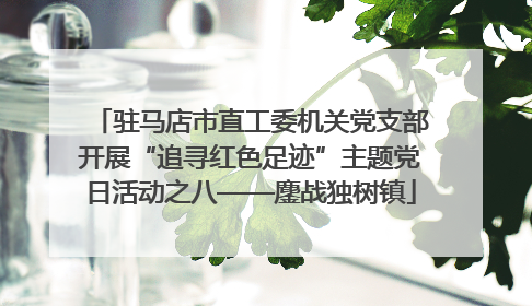 驻马店市直工委机关党支部开展“追寻红色足迹”主题党日活动之八——鏖战独树镇