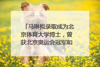马琳拟录取成为北京体育大学博士，曾获北京奥运会冠军和4次世界杯冠军