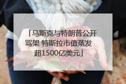 马斯克与特朗普公开骂架 特斯拉市值蒸发超1500亿美元