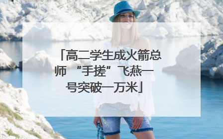 高二学生成火箭总师 “手搓”飞燕一号突破一万米