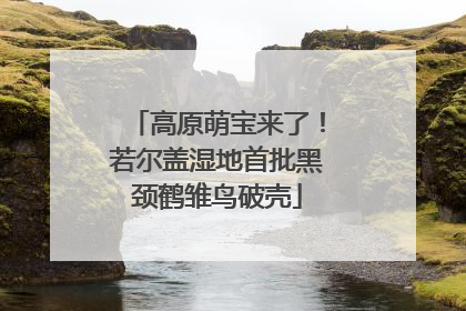 高原萌宝来了！若尔盖湿地首批黑颈鹤雏鸟破壳