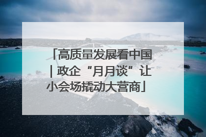 高质量发展看中国｜政企“月月谈”让小会场撬动大营商