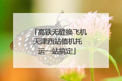 高铁无缝换飞机 天津西站值机托运一站搞定