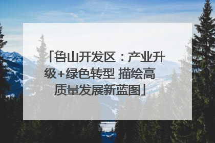 鲁山开发区：产业升级+绿色转型 描绘高质量发展新蓝图