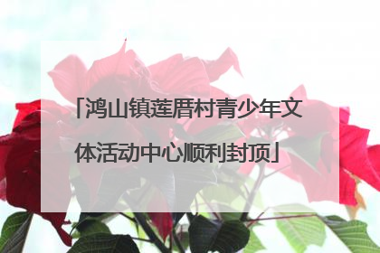 鸿山镇莲厝村青少年文体活动中心顺利封顶