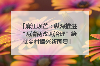 麻江坝芒：纵深推进“两清两改两治理”绘就乡村振兴新图景