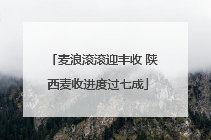 麦浪滚滚迎丰收 陕西麦收进度过七成