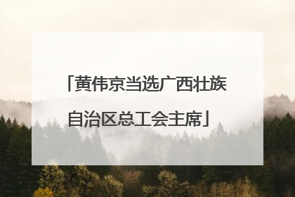 黄伟京当选广西壮族自治区总工会主席