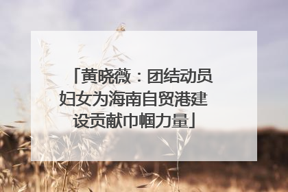 黄晓薇：团结动员妇女为海南自贸港建设贡献巾帼力量