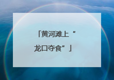 黄河滩上“龙口夺食”