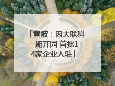 黄陂：因大联科一期开园 首批14家企业入驻