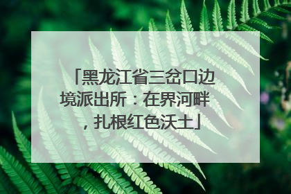 黑龙江省三岔口边境派出所：在界河畔，扎根红色沃土