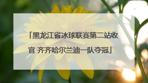 黑龙江省冰球联赛第二站收官 齐齐哈尔兰迪一队夺冠