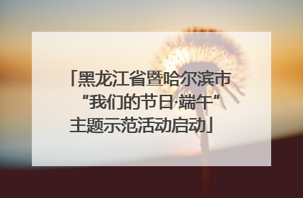 黑龙江省暨哈尔滨市“我们的节日·端午”主题示范活动启动