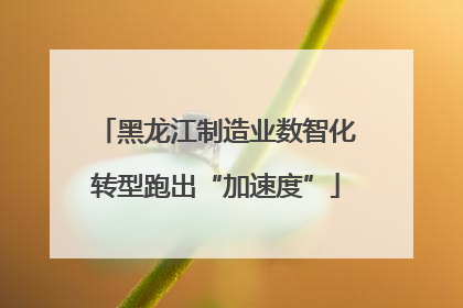 黑龙江制造业数智化转型跑出“加速度”