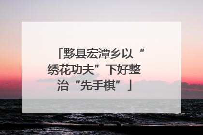 黟县宏潭乡以“绣花功夫”下好整治“先手棋”