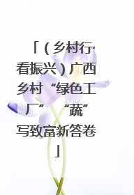 （乡村行·看振兴）广西乡村“绿色工厂” “蔬”写致富新答卷