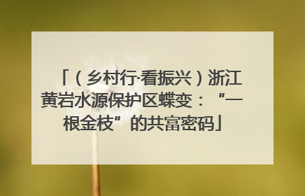 （乡村行·看振兴）浙江黄岩水源保护区蝶变：“一根金枝”的共富密码