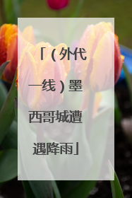（外代一线）墨西哥城遭遇降雨