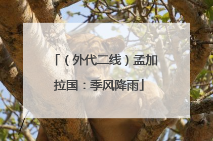 （外代二线）孟加拉国：季风降雨