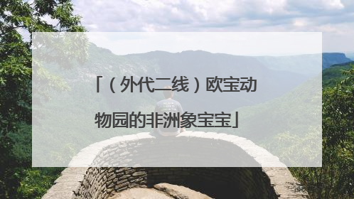 （外代二线）欧宝动物园的非洲象宝宝