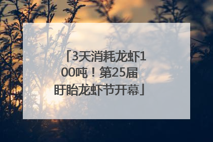 3天消耗龙虾100吨！第25届盱眙龙虾节开幕