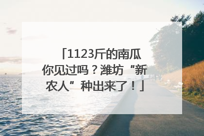 1123斤的南瓜你见过吗？潍坊“新农人”种出来了！