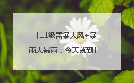 11级雷暴大风+暴雨大暴雨，今天就到