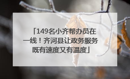 149名小齐帮办员在一线！齐河县让政务服务既有速度又有温度