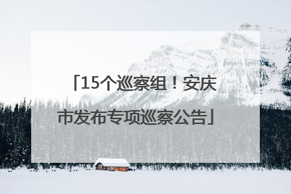 15个巡察组！安庆市发布专项巡察公告