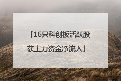 16只科创板活跃股获主力资金净流入