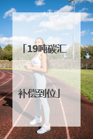 19吨碳汇补偿到位