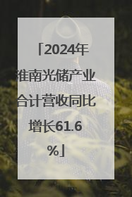 2024年淮南光储产业合计营收同比增长61.6%