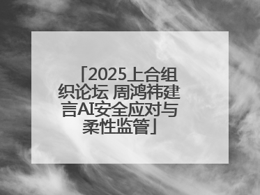 2025上合组织论坛 周鸿祎建言AI安全应对与柔性监管