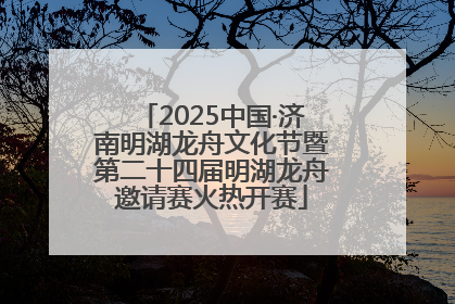 2025中国·济南明湖龙舟文化节暨第二十四届明湖龙舟邀请赛火热开赛