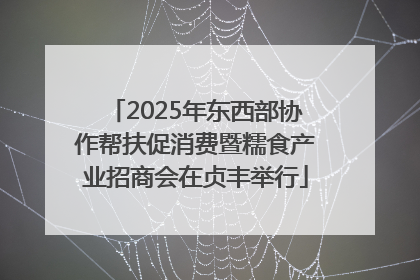 2025年东西部协作帮扶促消费暨糯食产业招商会在贞丰举行