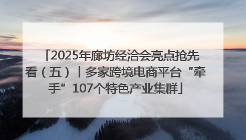 2025年廊坊经洽会亮点抢先看（五）丨多家跨境电商平台“牵手”107个特色产业集群