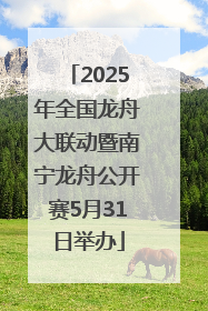 2025年全国龙舟大联动暨南宁龙舟公开赛5月31日举办