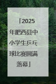 2025年肥西县中小学生乒乓球比赛圆满落幕