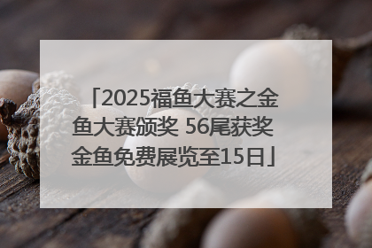2025福鱼大赛之金鱼大赛颁奖 56尾获奖金鱼免费展览至15日