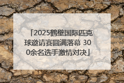 2025鹤壁国际匹克球邀请赛圆满落幕 300余名选手激情对决