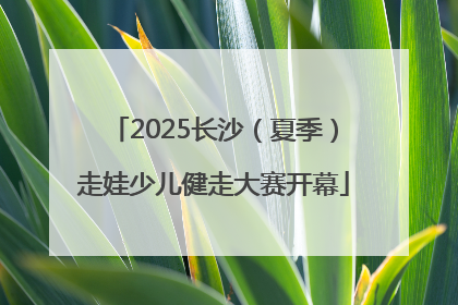 2025长沙（夏季）走娃少儿健走大赛开幕