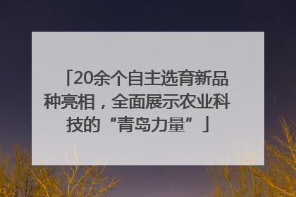 20余个自主选育新品种亮相，全面展示农业科技的“青岛力量”
