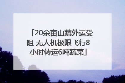 20余亩山蔬外运受阻 无人机极限飞行8小时转运6吨蔬菜