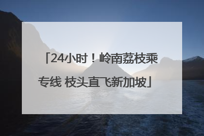 24小时！岭南荔枝乘专线 枝头直飞新加坡